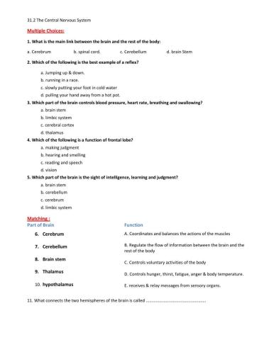 L31.2 THE CENTRAL NERVOUS SYSTEM