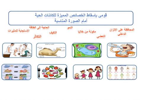 مدخل إلى علم الأحياء نشاط 2