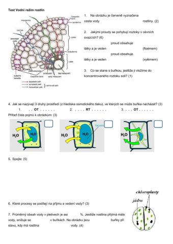 Vodní režim rostlin