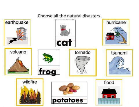 Select All the Natural Disasters