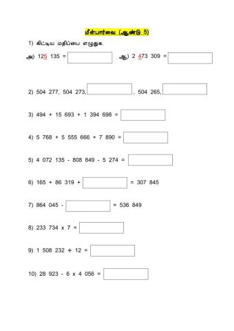 Revision (Whole Number)