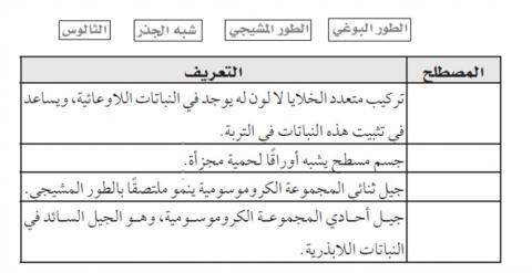 النباتات اللاوعائية