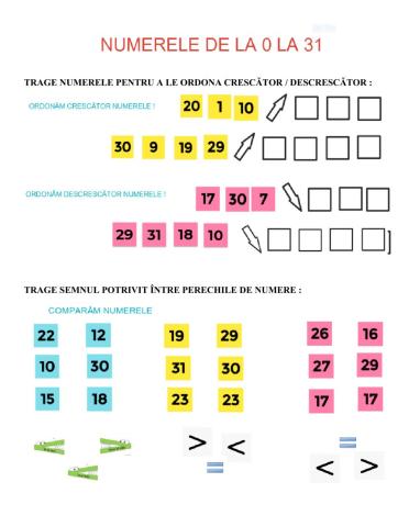 NUMERE 0-31