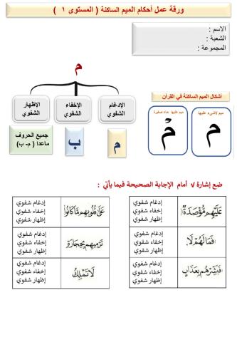 أحكام الميم الساكنة ( المستوى 1)ـ