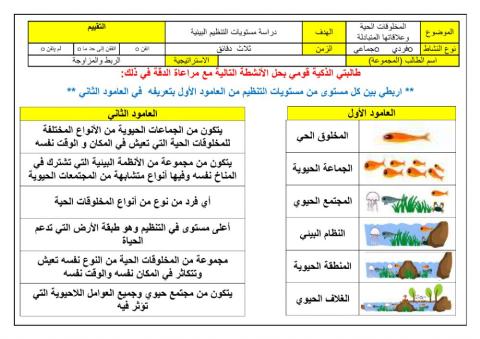 مستويات التنظيم البيئية