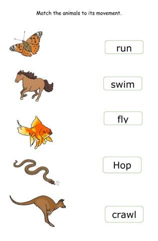 Movements of animals