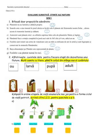 Evaluare sumativă sem I