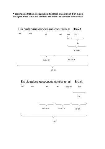 Anàlisi de sintagmes nominals