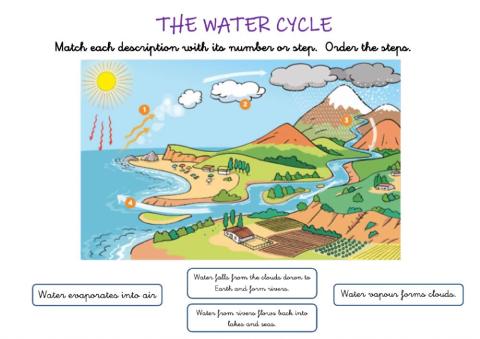 The water cycle