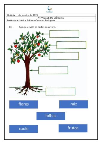 Álgebra - Hérica Polliana