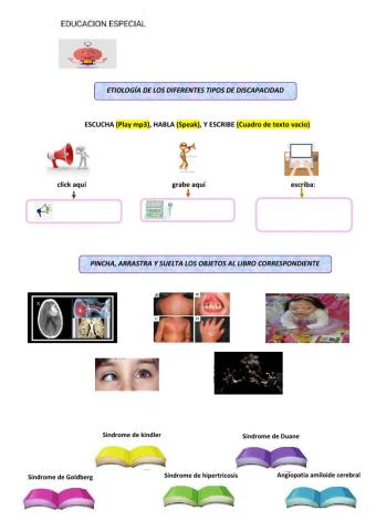 Etiologia de los diferentes tipos de discapacidad