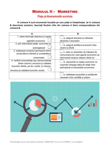 Piata si dimensiunile acesteia - fisa 3