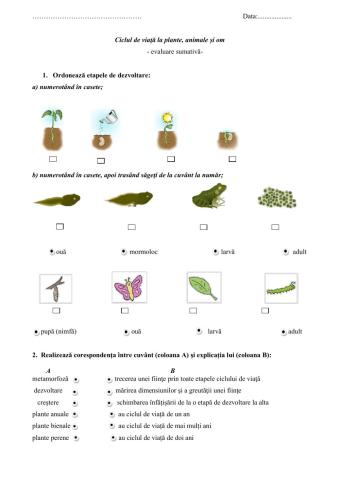 Ciclul de viață la plante și animale