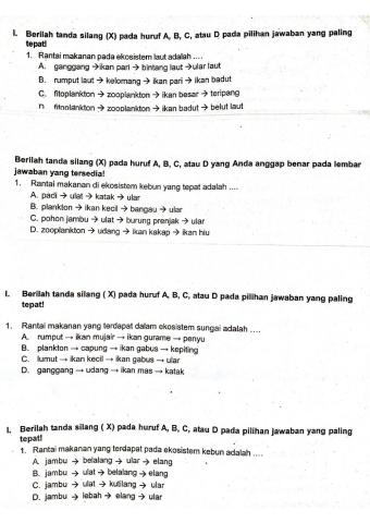 Soal rantai makanan