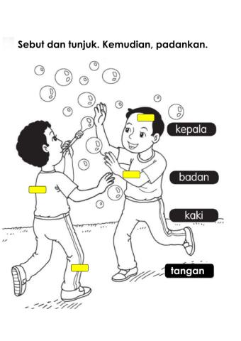 PD TAHUN 1 : Anggota Badan