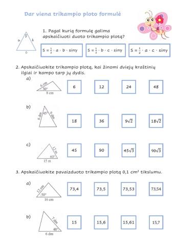 Dar viena trikampio ploto formulė