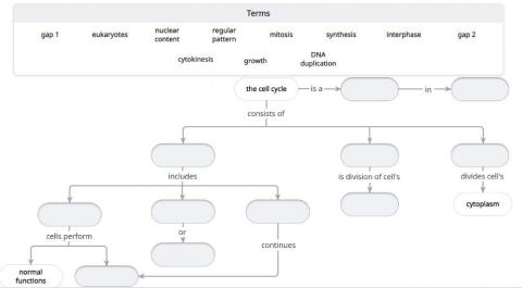 The cell cycle