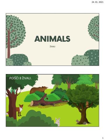 Animals 1