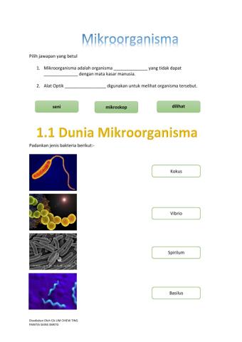 LATIHAN 1 MIKROORGANISMA