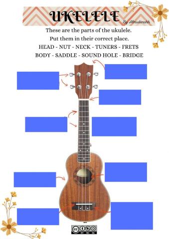 Ukelele parts