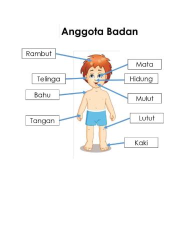 Anggota badan