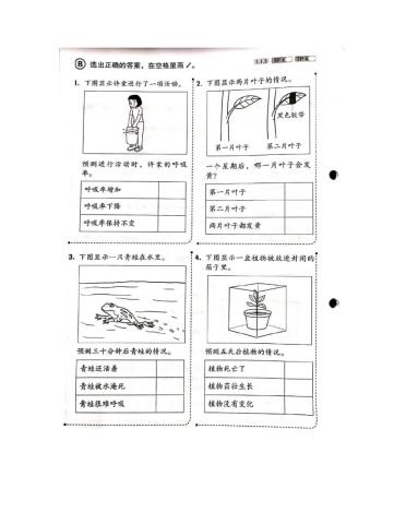 四年级科学单元一