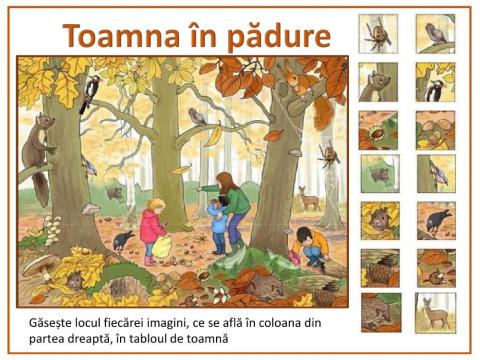 Toamna in padure