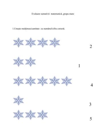 Matematica-evaluare sumativa