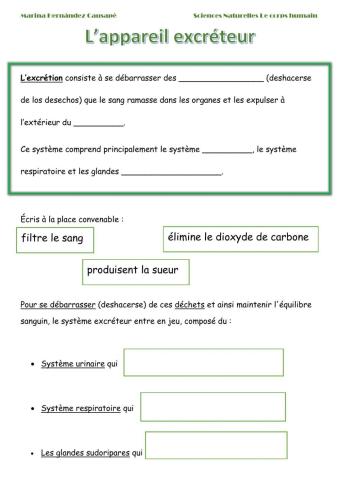 L'appareil excréteur