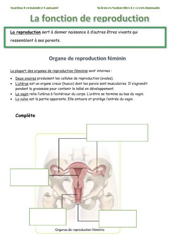 La fonction de reproduction