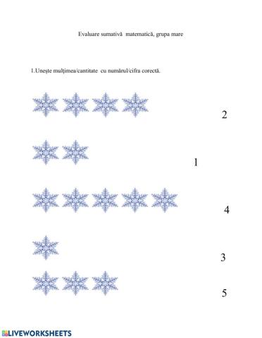 fisa de evaluare sumativa