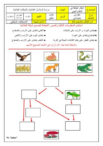 ورقة عمل الشبكة الغذائية