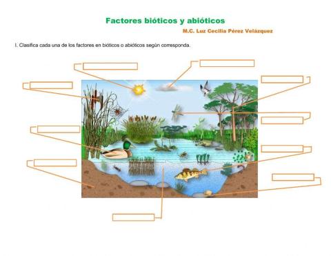 Factores bióticos y abióticos