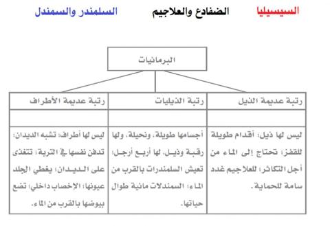 تصنيف البرمائيات