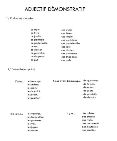 Adjectifs démonstatifs