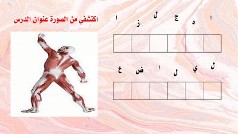 تهيئة للجهاز العضلي