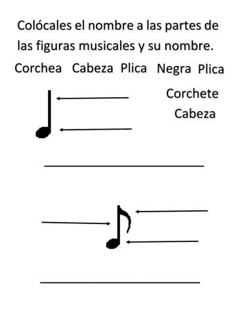 Partes de la figura musical