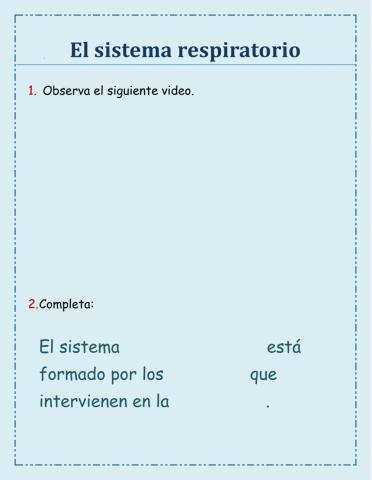 El sistema respiratorio