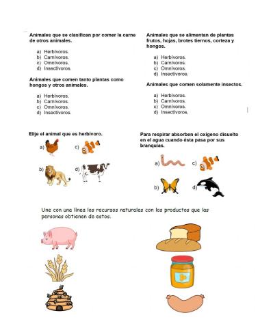 Naturales semestral