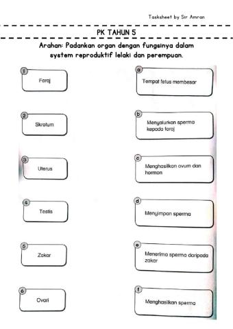 Tahun 5 Sistem Reproduktif