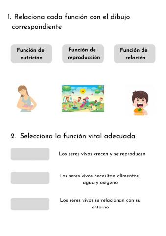 Las funciones vitales