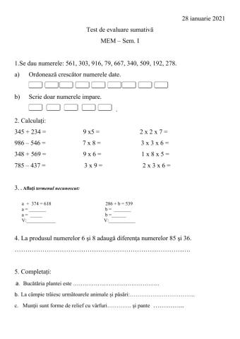 Test de evaluare sumativă- sem I