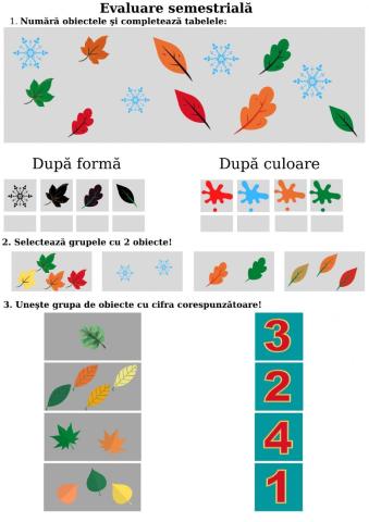 Evaluare semestriala