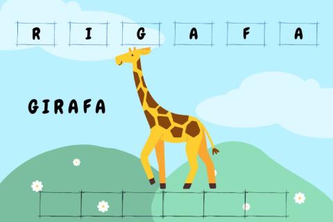 Girafa