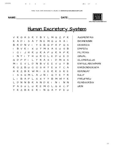 Human Excretory System