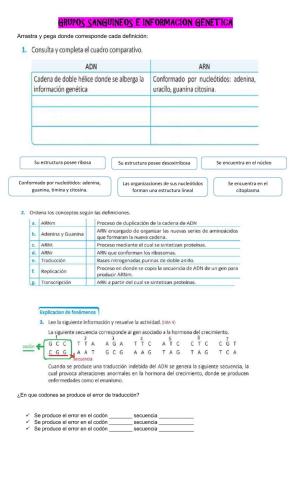 grupos sanguíneos y información hereditaria