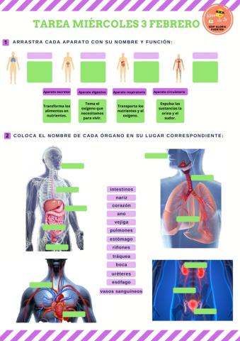 Tarea miércoles 3 DE FEBRERO