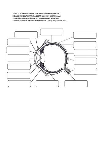 Struktur Mata (The structure of the eyes)