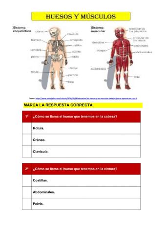 Aparato Locomotor 4º