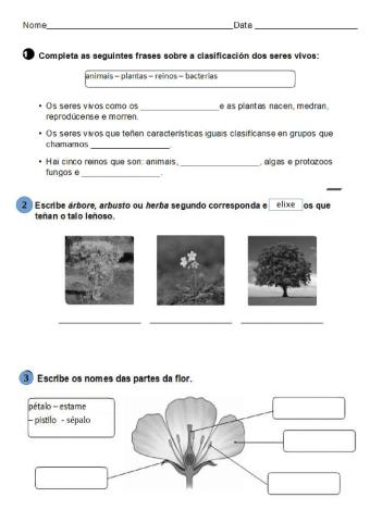 Control plantas